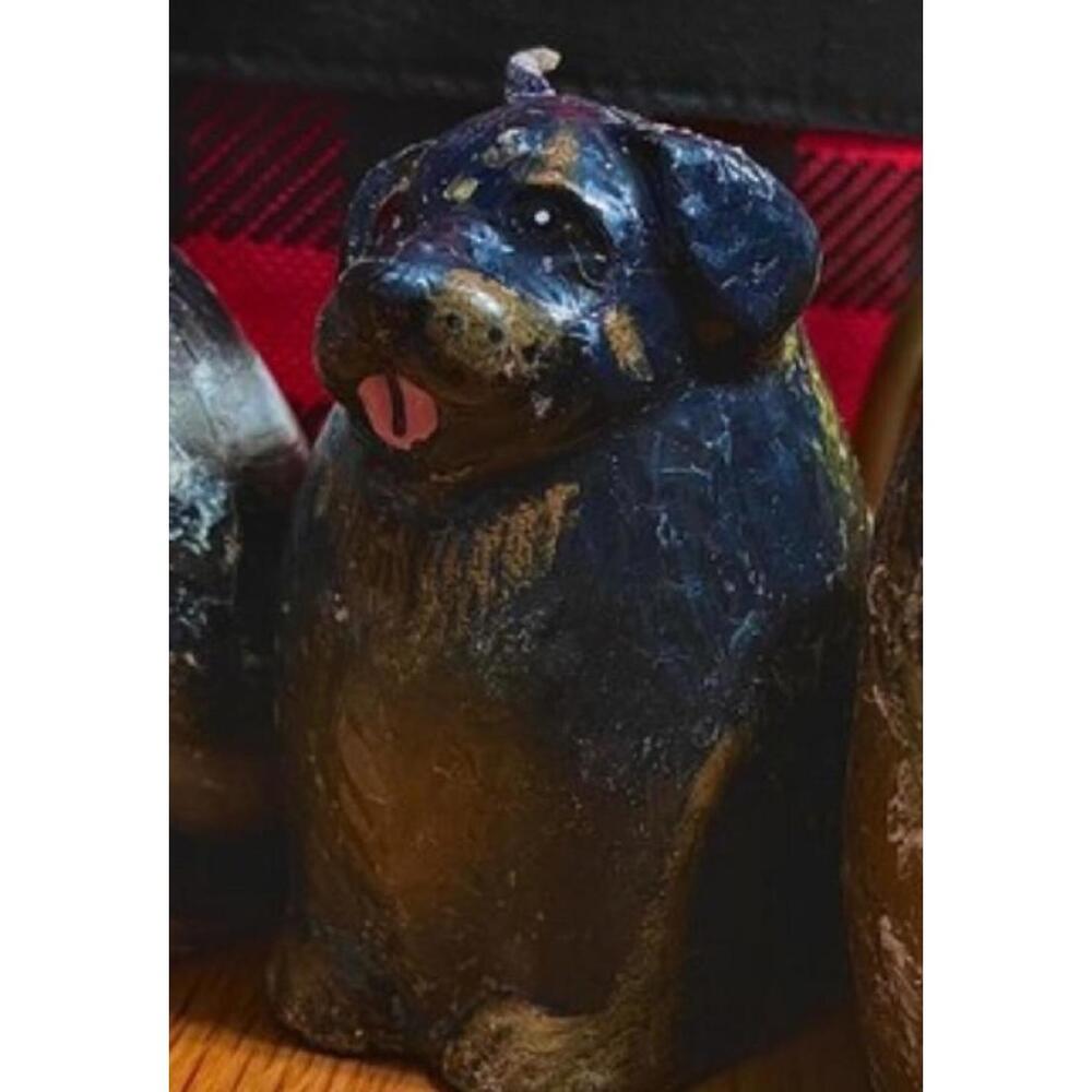Rottweiler Doberman Dachshund Coonhound pet dog candle unique gift dogs pets